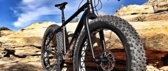 Fatbike - kaj je, za kaj ga potrebujete, kako ga izbrati