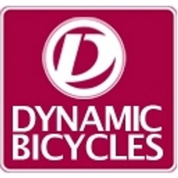 Dinamična kolesa