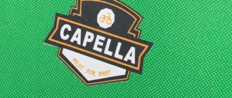 Otroška kolesa Capella - prednosti in slabosti, nasveti za izbiro
