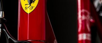Kolo Ferrari - vrste, prednosti in slabosti