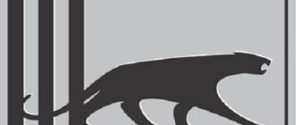 Kolesa Panther - vrste, prednosti in slabosti