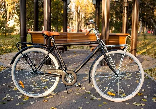 mestna kolesa
